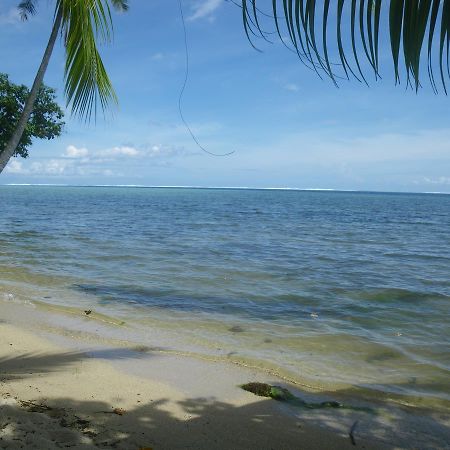 Justmoorea Location Haapiti エクステリア 写真